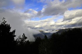 _DSC5240.JPG